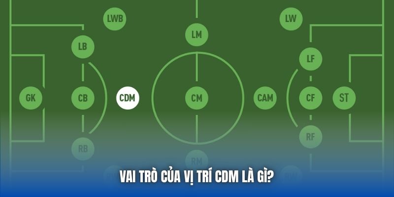 Vị Trí CDM Là Gì? Vai Trò Mỏ Neo Quan Trọng Trong Bóng Đá - GARICO.INFO