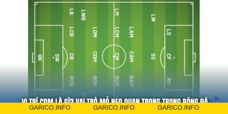 Vị Trí CDM Là Gì? Vai Trò Mỏ Neo Quan Trọng Trong Bóng Đá - GARICO.INFO
