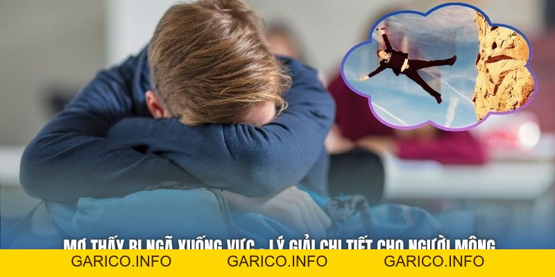 Mơ Thấy Bị Ngã Xuống Vực - Lý Giải Chi Tiết Cho Người Mộng - GARICO.INFO
