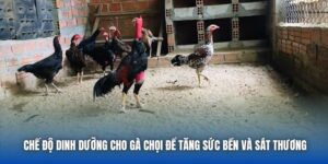 88CLB Tpwh - Trang Chủ 88CLB.COM Đăng Ký Nhận Ngay 88K - GARICO.INFO