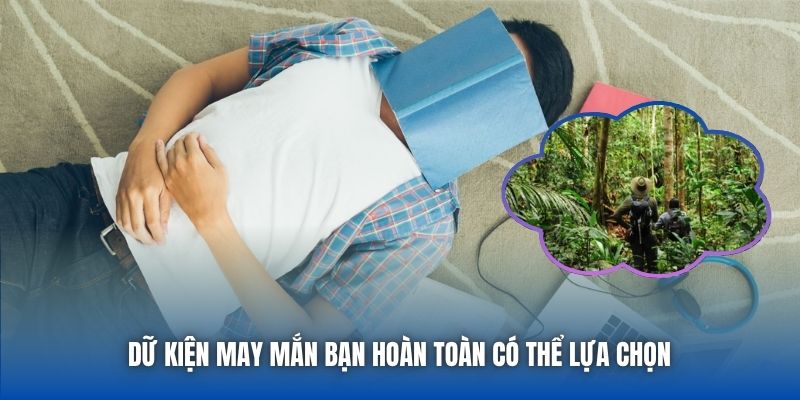 Mơ Thấy Mình Lạc Trong Rừng | Giải Mã Điềm Báo & Ý Nghĩa - GARICO.INFO