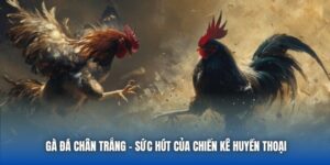 88CLB Tpwh - Trang Chủ 88CLB.COM Đăng Ký Nhận Ngay 88K - GARICO.INFO