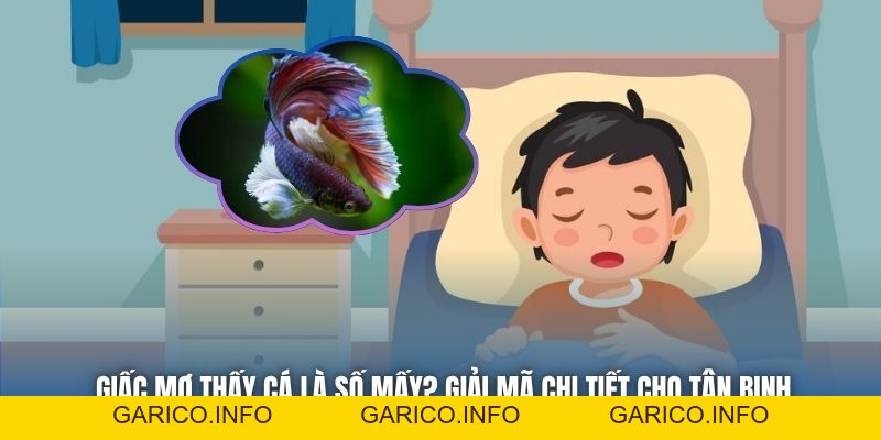 Giấc Mơ Thấy Cá Là Số Mấy? Giải Mã Chi Tiết Cho Tân Binh - GARICO.INFO