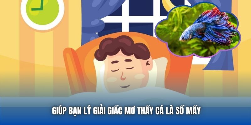 Giấc Mơ Thấy Cá Là Số Mấy? Giải Mã Chi Tiết Cho Tân Binh - GARICO.INFO