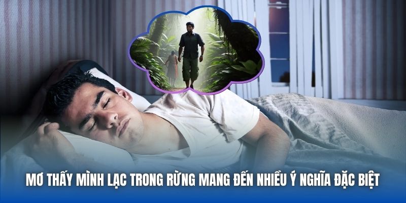 Mơ Thấy Mình Lạc Trong Rừng | Giải Mã Điềm Báo & Ý Nghĩa - GARICO.INFO