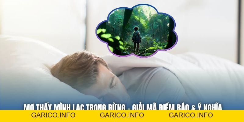 Mơ Thấy Mình Lạc Trong Rừng | Giải Mã Điềm Báo & Ý Nghĩa - GARICO.INFO