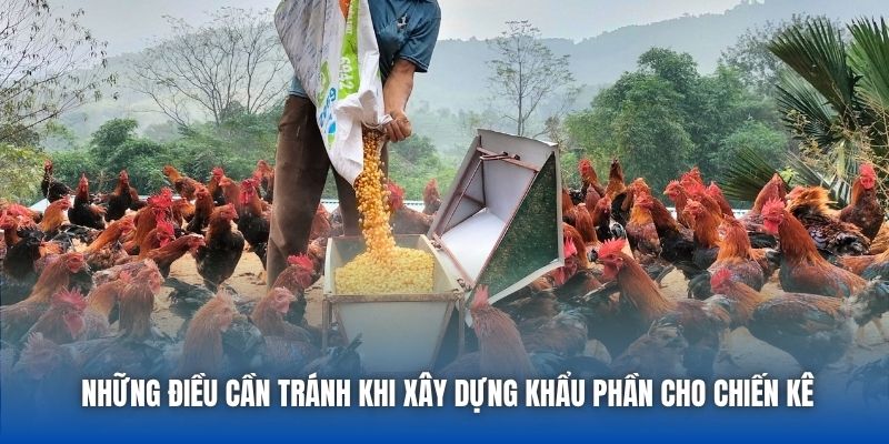 Chế Độ Dinh Dưỡng Cho Gà Chọi Để Tăng Sức Bền Và Sát Thương - GARICO.INFO