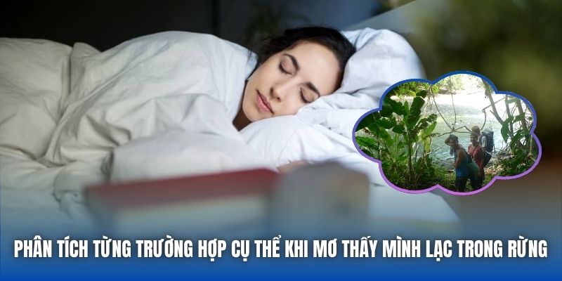 Mơ Thấy Mình Lạc Trong Rừng | Giải Mã Điềm Báo & Ý Nghĩa - GARICO.INFO