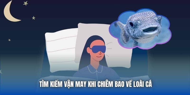 Giấc Mơ Thấy Cá Là Số Mấy? Giải Mã Chi Tiết Cho Tân Binh - GARICO.INFO