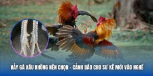 88CLB Tpwh - Trang Chủ 88CLB.COM Đăng Ký Nhận Ngay 88K - GARICO.INFO