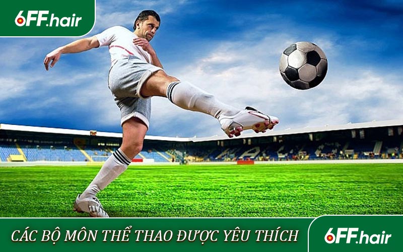 Thể Thao 6FF - Tận Hưởng Niềm Vui Chiến Thắng - GARICO.INFO